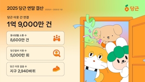 2025 당근 연말결산